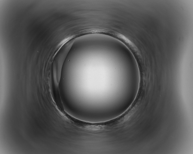 X0000085291185200703091403