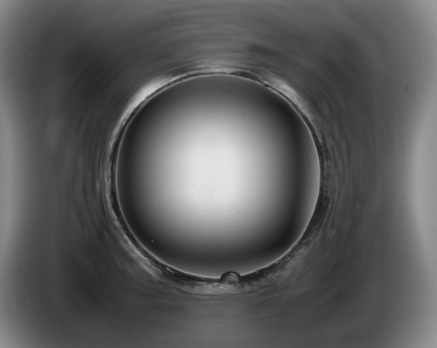 X0000085291187200703091403
