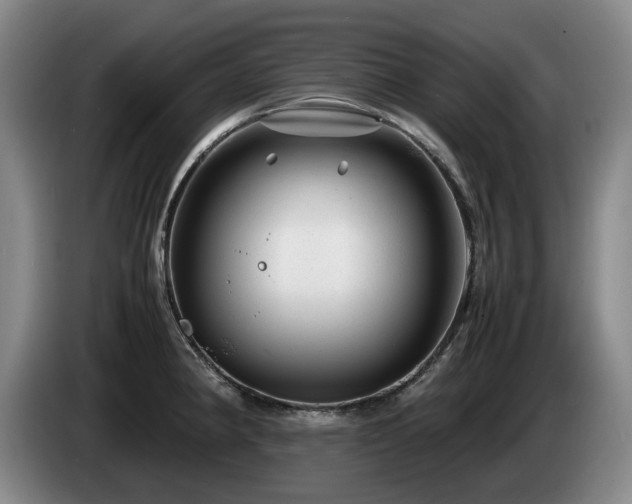 X0000085291190200703091403