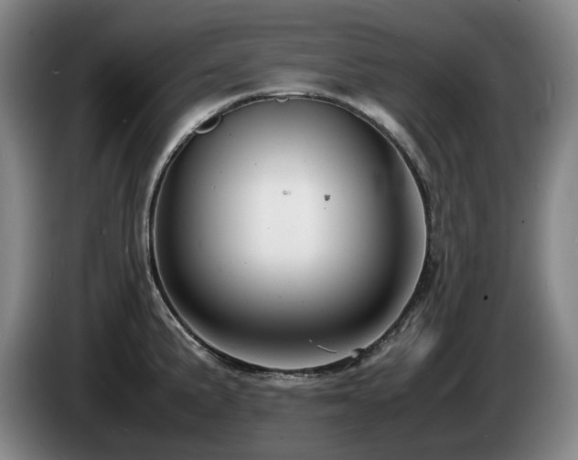 X0000085291191200703091403