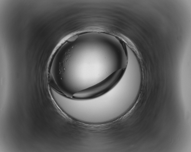 X0000085291192200703091403