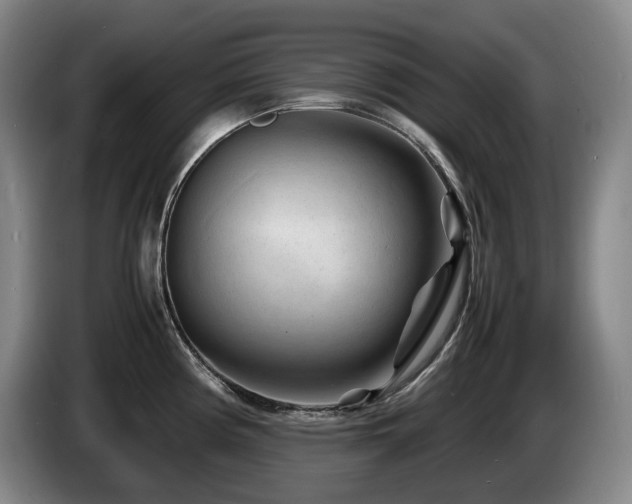 X0000085291194200703091403