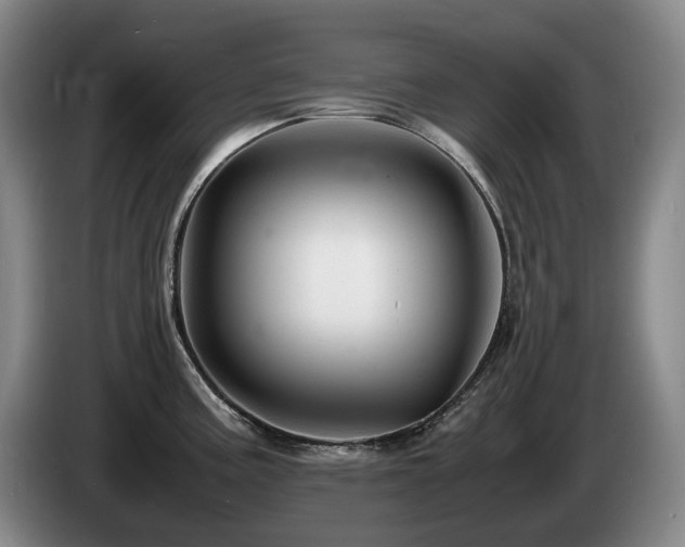X0000085291195200703091403