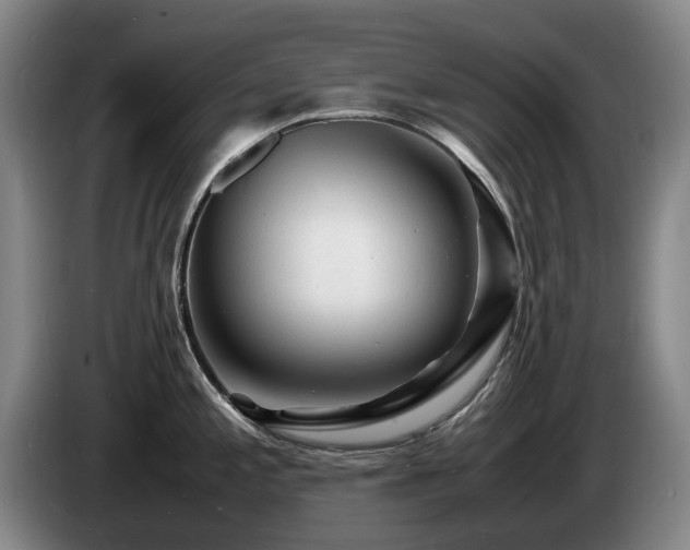 X0000085291197200703091403