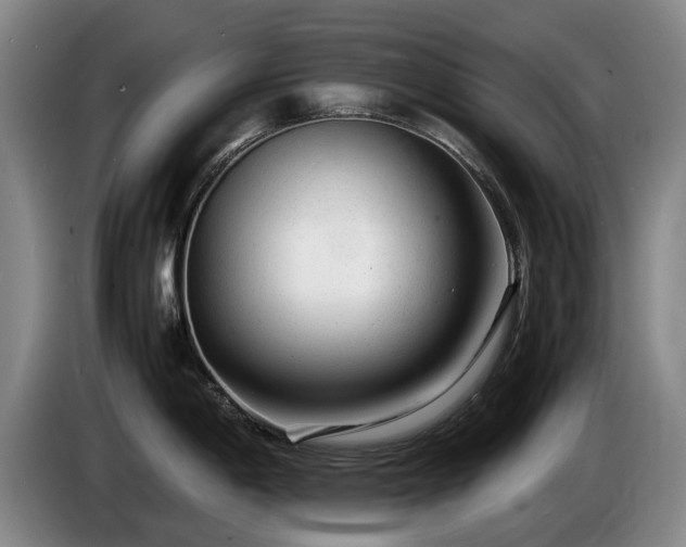 X0000085291198200703091403