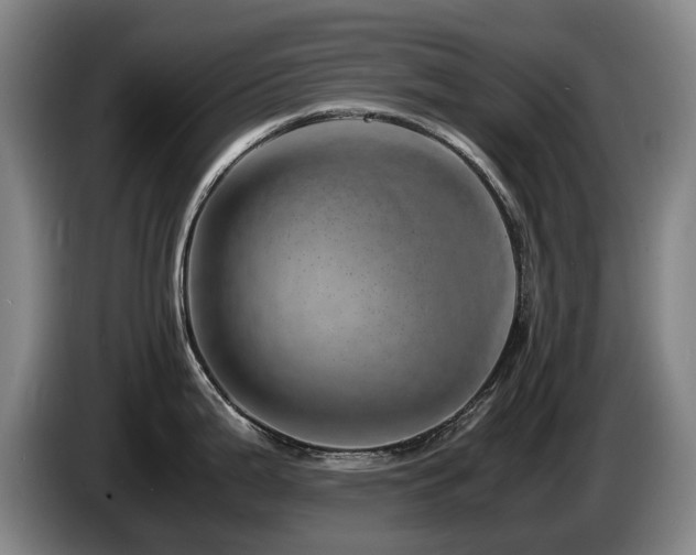 X0000085291199200703091403