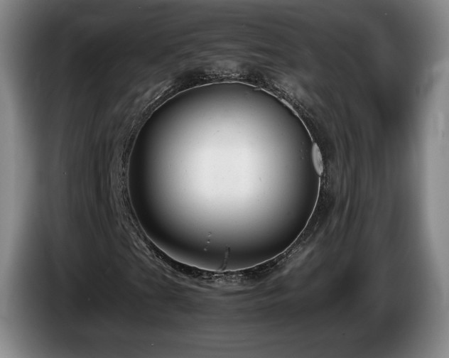 X0000085291201200703091403