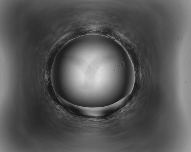 X0000085291206200703091403