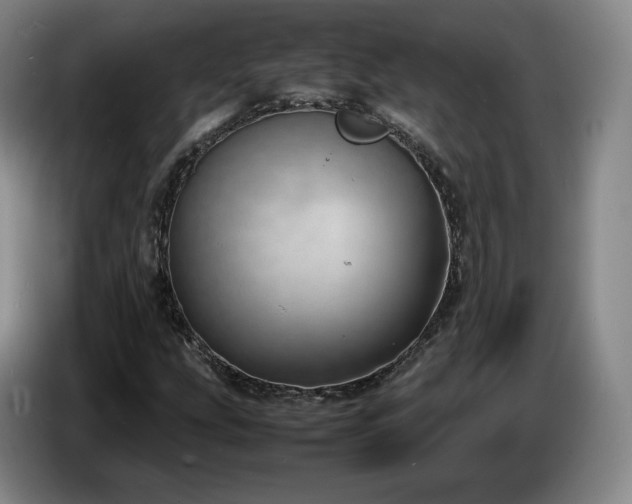 X0000085291207200703091403