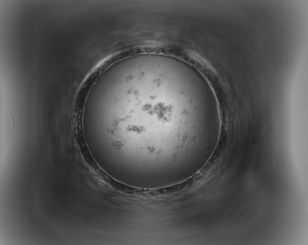 X0000085291208200703091403