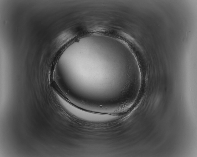 X0000085291209200703091403