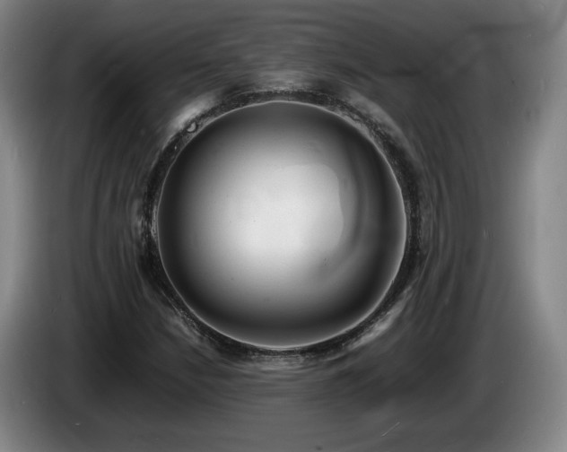 X0000085291210200703091403