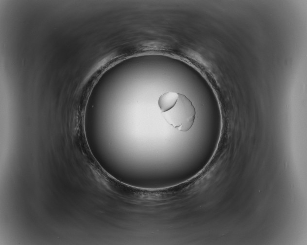 X0000085291211200703091403