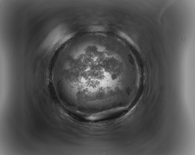 X0000085291213200703091403