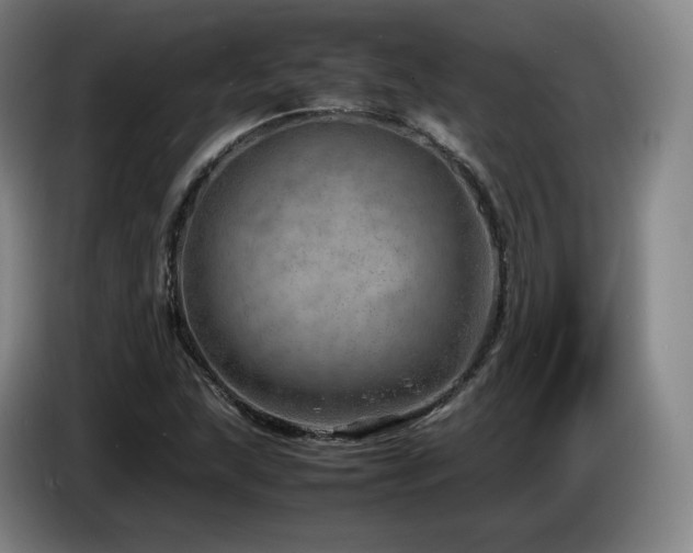 X0000085291215200703091403