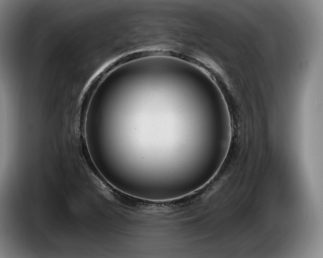 X0000085291216200703091403
