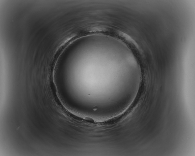 X0000085291217200703091403