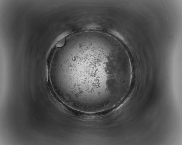 X0000085291219200703091403