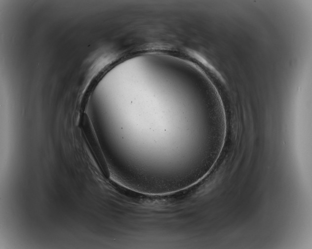 X0000085291221200703091403