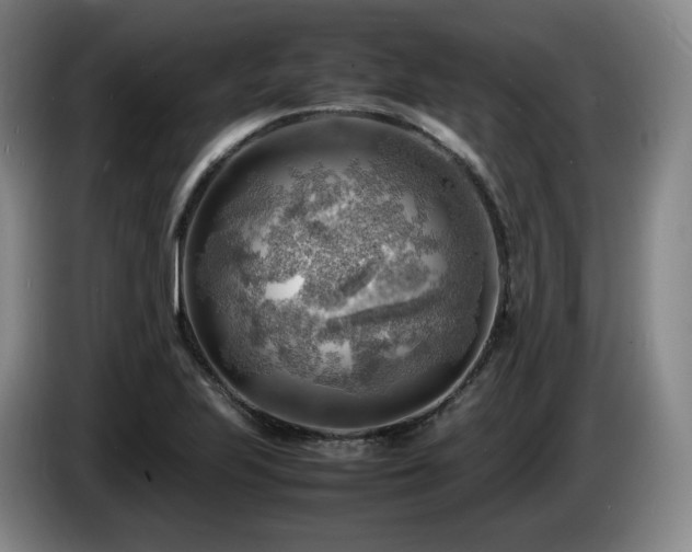 X0000085291223200703091403