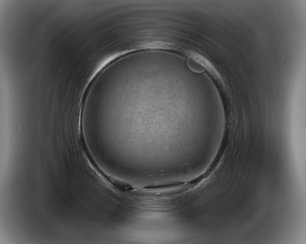 X0000085291228200703091403