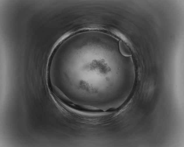 X0000085291229200703091403