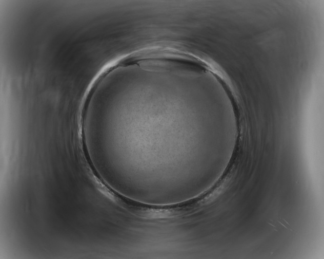 X0000085291232200703091403