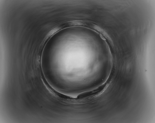 X0000085291233200703091403