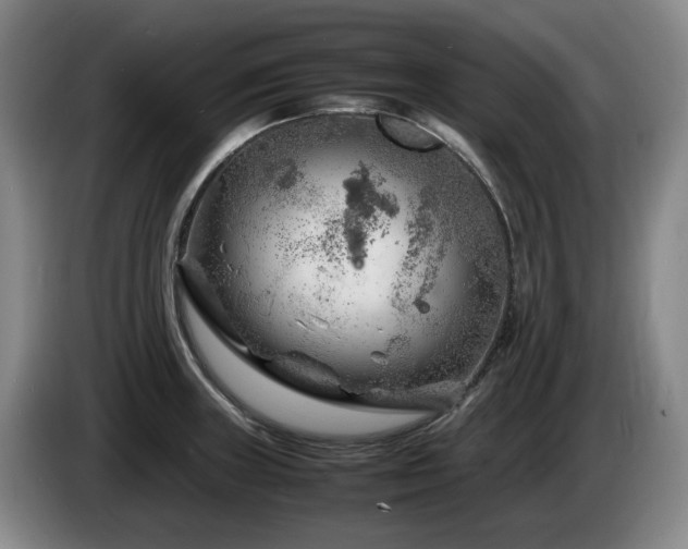 X0000085291235200703091403