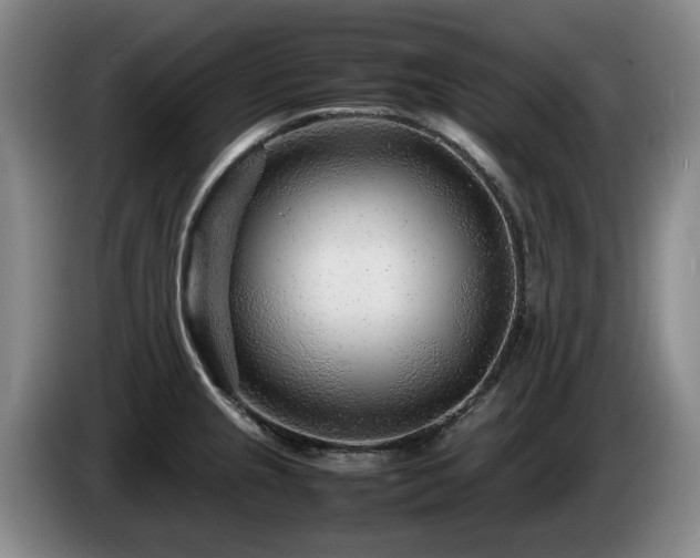 X0000085291237200703091403
