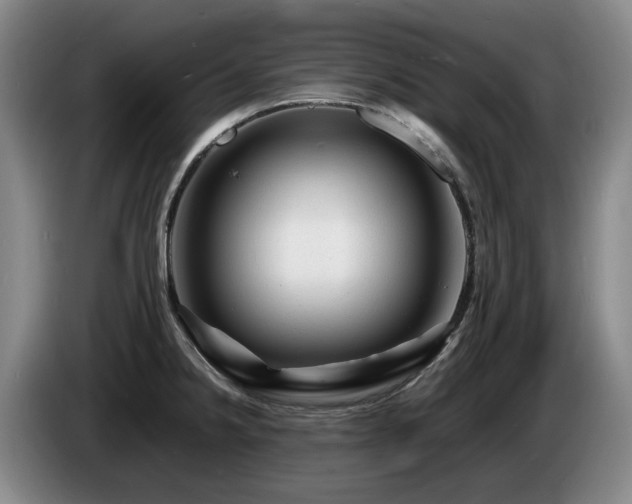 X0000085291238200703091403
