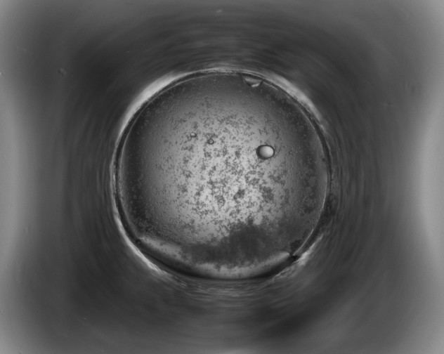 X0000085291239200703091403