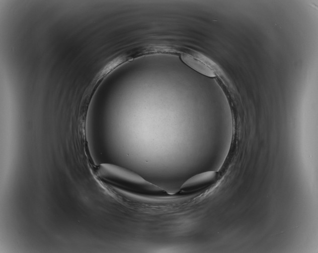 X0000085291241200703091403