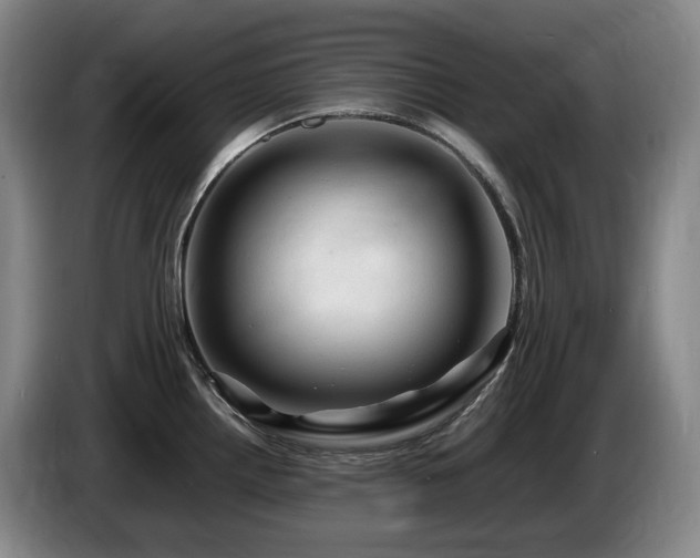 X0000085291242200703091403