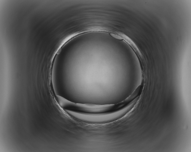 X0000085291244200703091403
