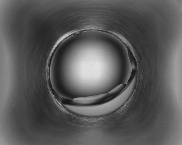 X0000085291246200703091403