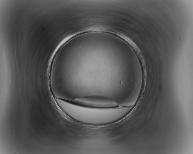 X0000085291248200703091403