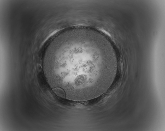 X0000085291255200703091402
