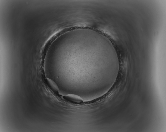 X0000085291256200703091402
