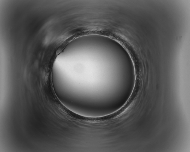 X0000085291257200703091402