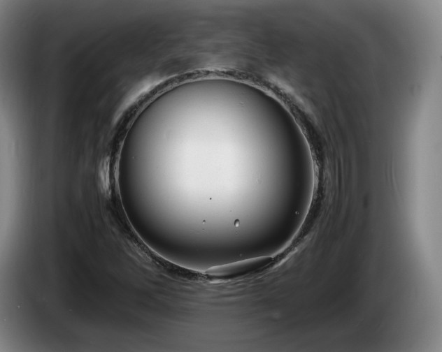 X0000085291262200703091402