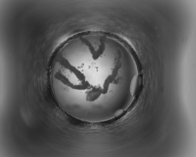 X0000085291263200703091402