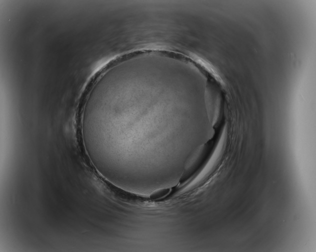 X0000085291264200703091402