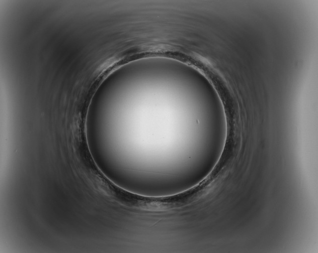 X0000085291265200703091402