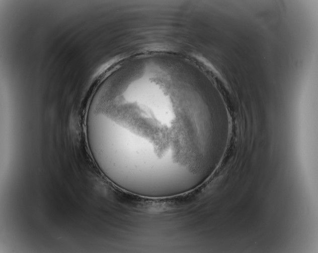X0000085291266200703091402