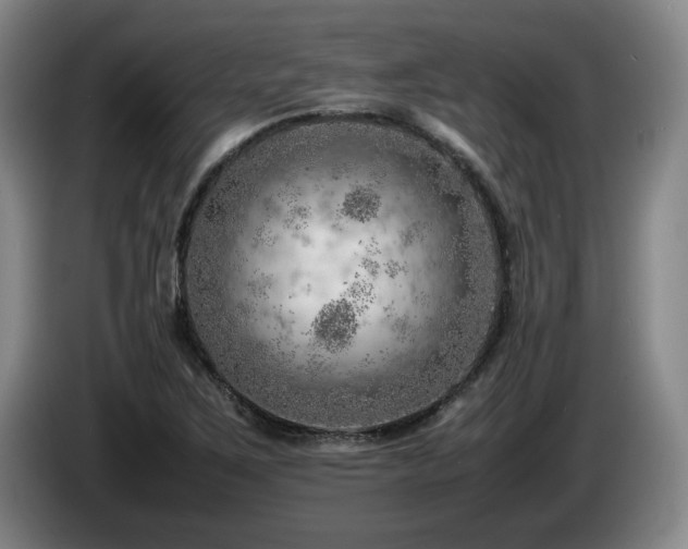 X0000085291267200703091402