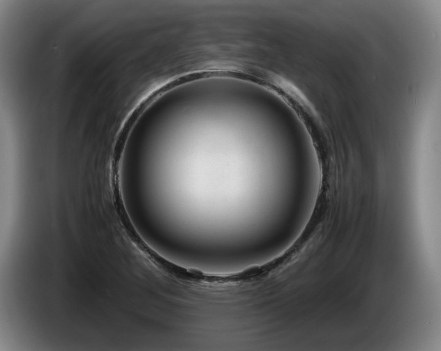 X0000085291268200703091402