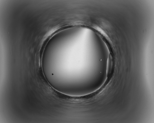X0000085291269200703091402