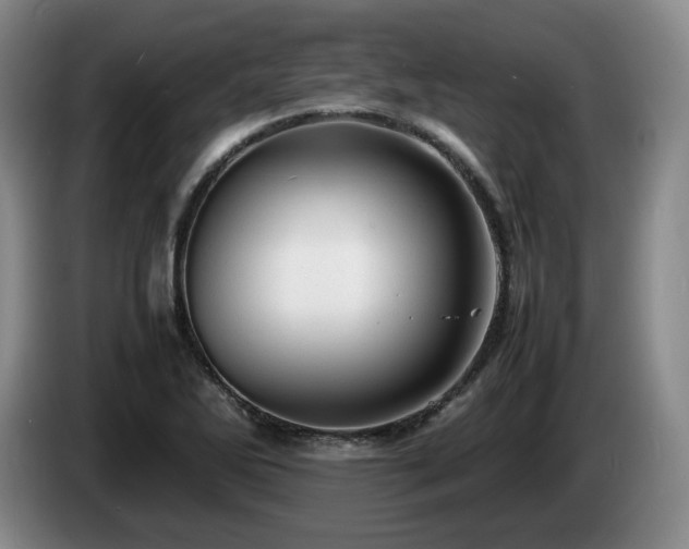 X0000085291270200703091402