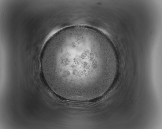 X0000085291271200703091402